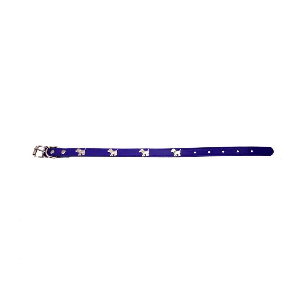 COLLAR MASCOTA