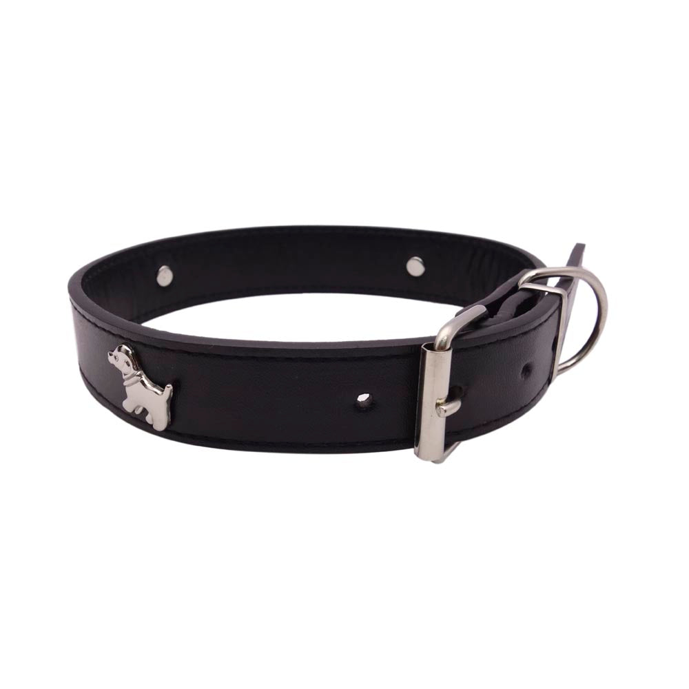 COLLAR MASCOTAS