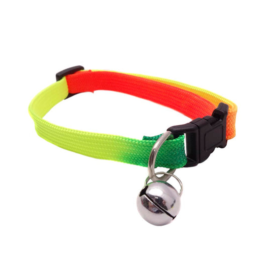 COLLAR MASCOTAS